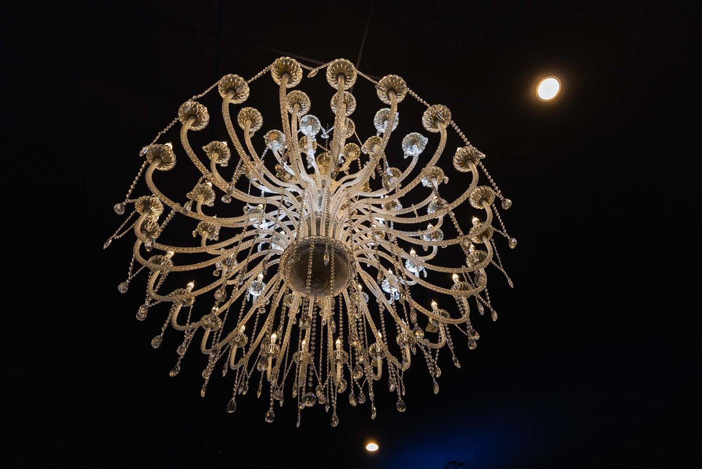 Zaal aangekleed door Royal Decor
